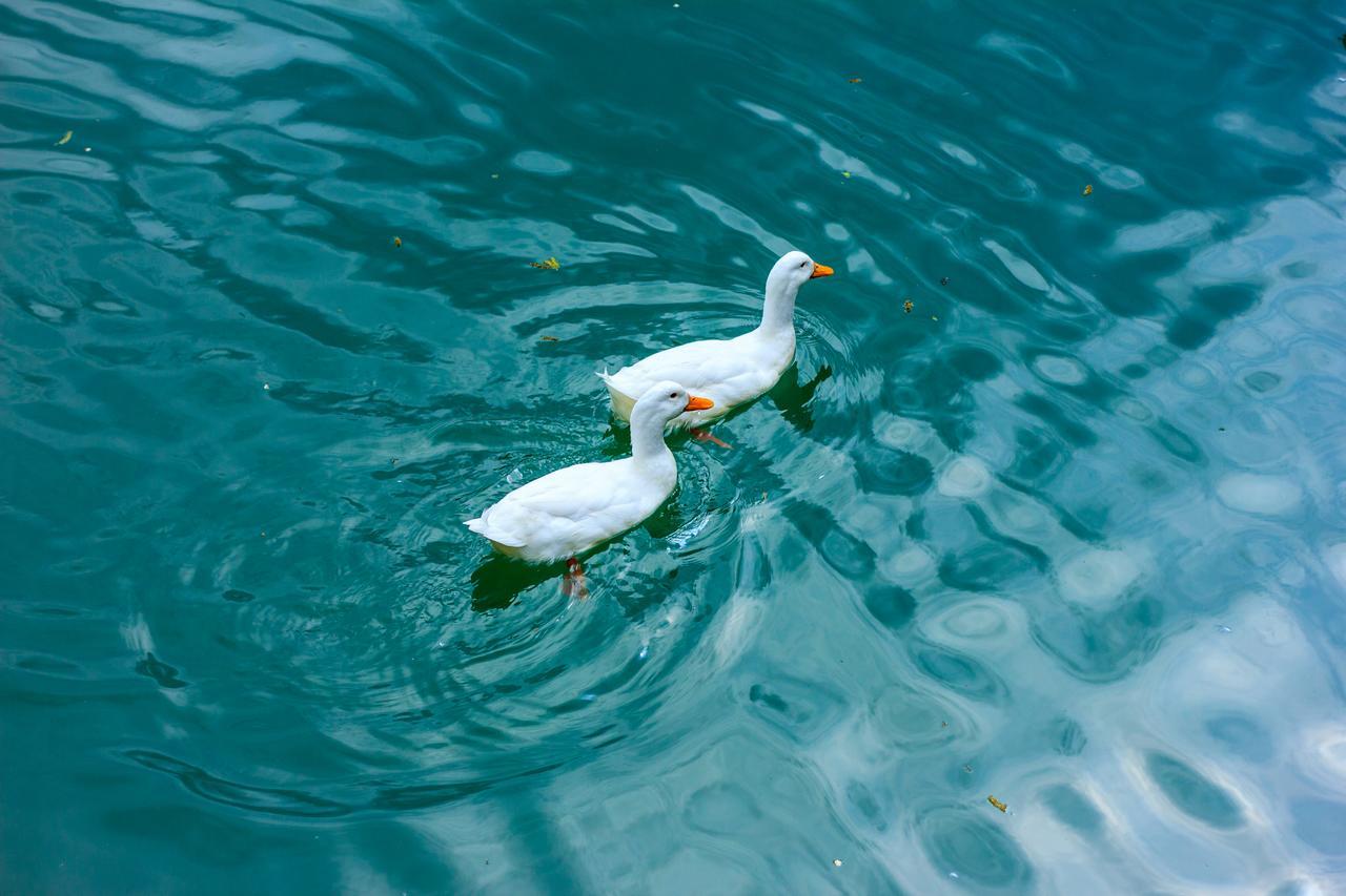 فندق Amiran'S Lake تبليسي المظهر الخارجي الصورة