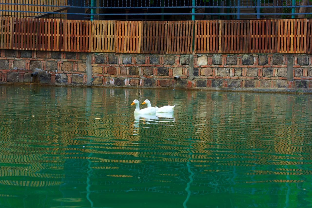 فندق Amiran'S Lake تبليسي المظهر الخارجي الصورة
