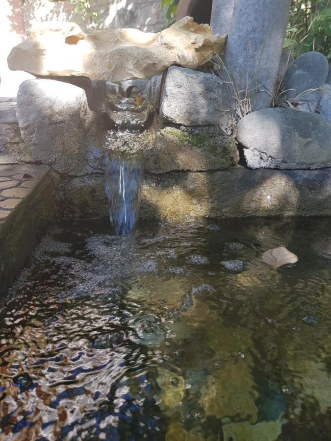 فندق Amiran'S Lake تبليسي المظهر الخارجي الصورة